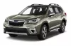 SUBARU FORESTER CSOMAGTÉRTÁLCA (2019-2024)