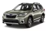SUBARU FORESTER 3D MAGASPEREMŰ GUMISZŐNYEG (2019-2024)
