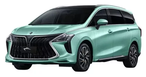 DONGFENG FORTHING U-TOUR PAWA AJTÓVÉDŐ DÍSZLÉC (2020-)