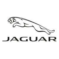 JAGUAR 3D GUMISZŐNYEG
